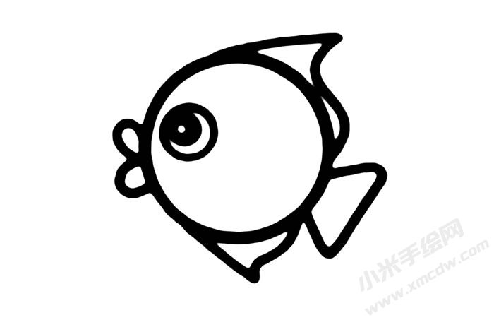 熱帶魚兒童簡筆畫步驟05.jpg