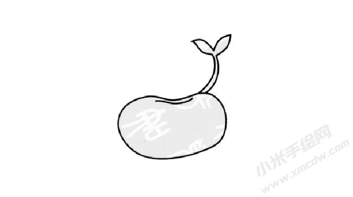 豆芽?jī)和?jiǎn)筆畫步驟03.jpg