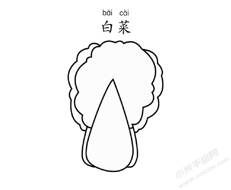 白菜兒童簡筆畫圖片