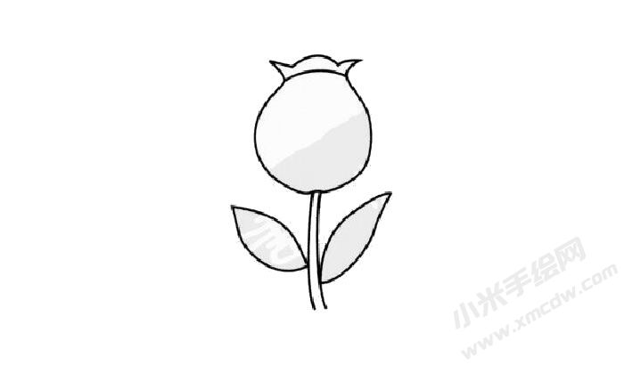 罌粟花簡筆畫步驟03.jpg