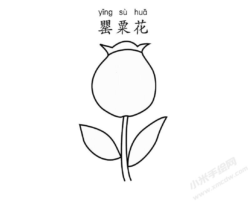 罌粟花簡筆畫圖片