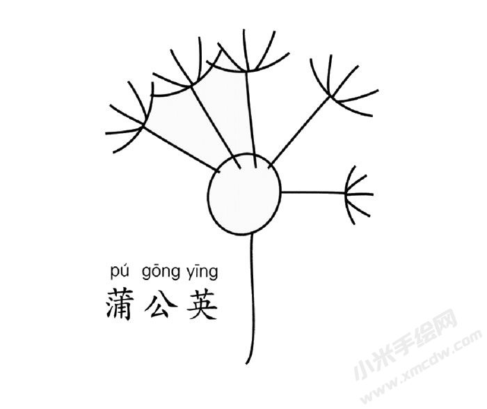 蒲公英兒童簡筆畫圖片