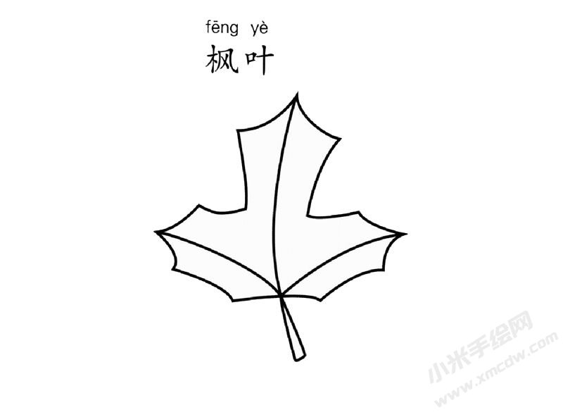 楓葉簡筆畫圖片