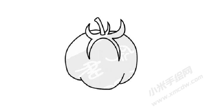西紅柿兒童簡筆畫步驟03.jpg