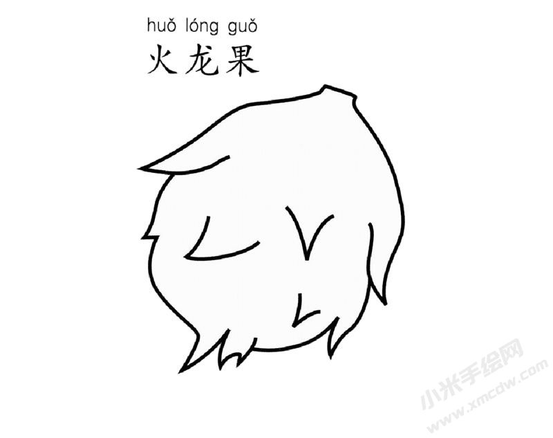 火龍果簡筆畫圖片