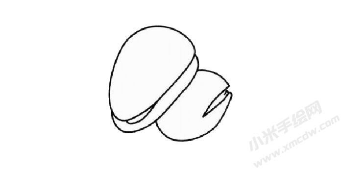 松子簡(jiǎn)筆畫步驟03.jpg