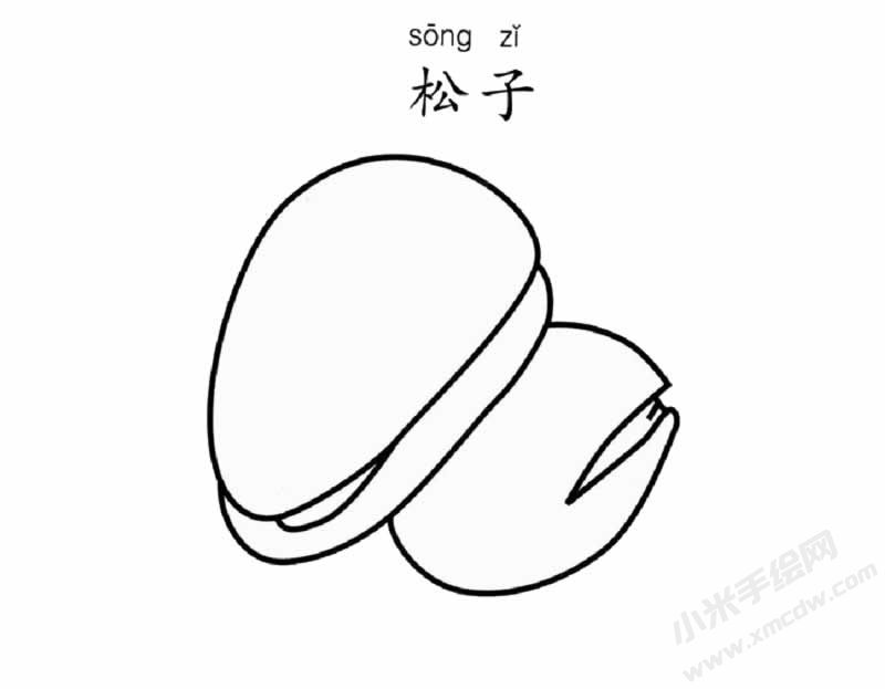 松子簡(jiǎn)筆畫圖片