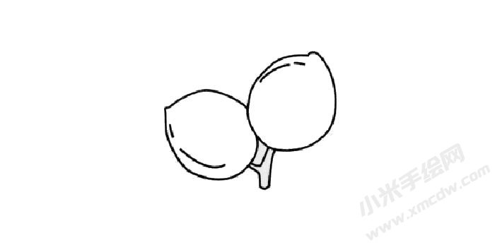 杏的簡(jiǎn)筆畫創(chuàng)作步驟03.jpg