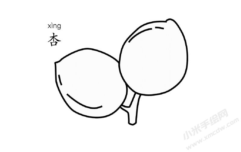 杏的簡(jiǎn)筆畫圖片