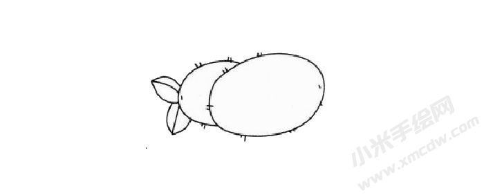 獼猴桃兒童簡筆畫步驟03.jpg