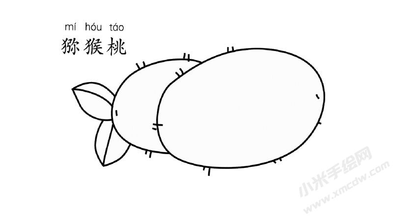 獼猴桃兒童簡筆畫圖片