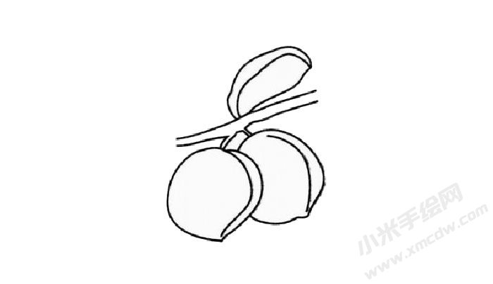 青梅簡(jiǎn)筆畫步驟03.jpg