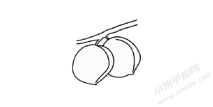 青梅簡(jiǎn)筆畫步驟02.jpg