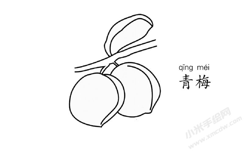 青梅簡(jiǎn)筆畫圖片