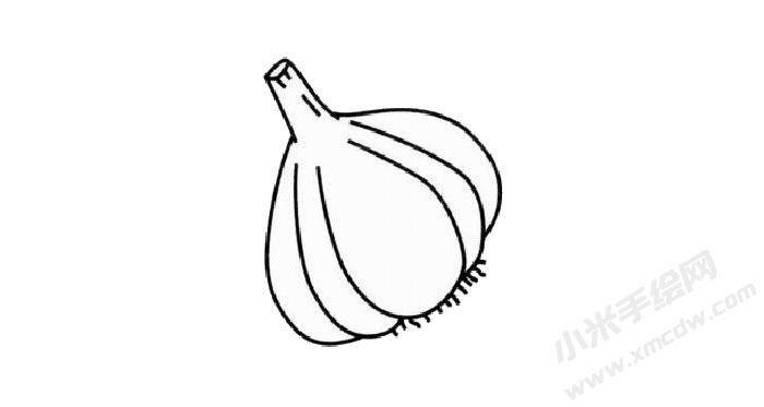 大蒜簡筆畫創(chuàng)作步驟03.jpg