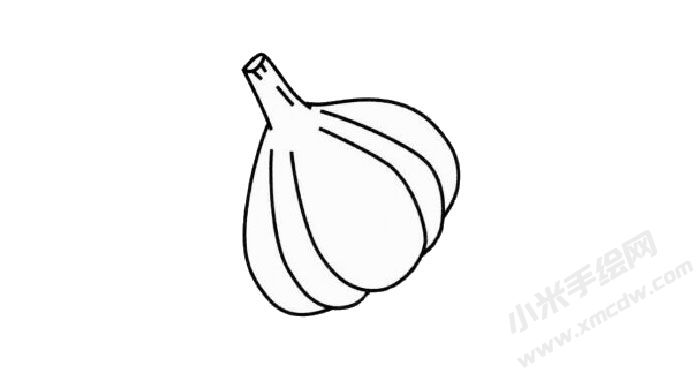 大蒜簡筆畫創(chuàng)作步驟02.jpg