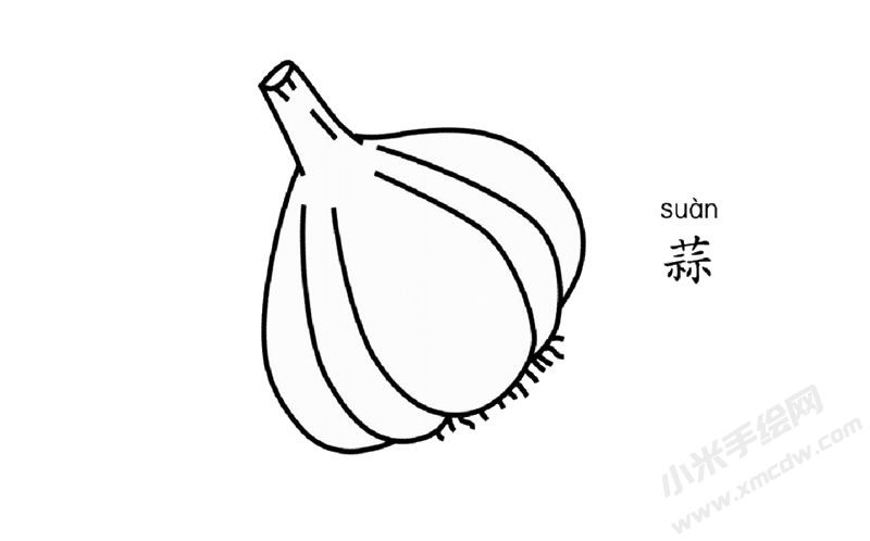 大蒜簡筆畫圖片