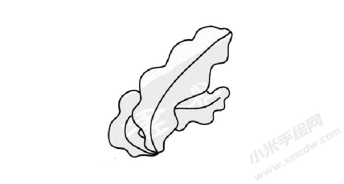 海帶簡(jiǎn)筆畫(huà)創(chuàng)作步驟03.jpg
