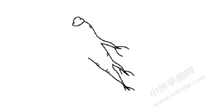 人參簡筆畫創(chuàng)作步驟02.jpg