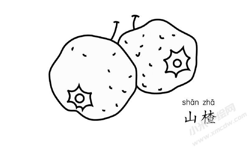 山楂兒童簡筆畫圖片