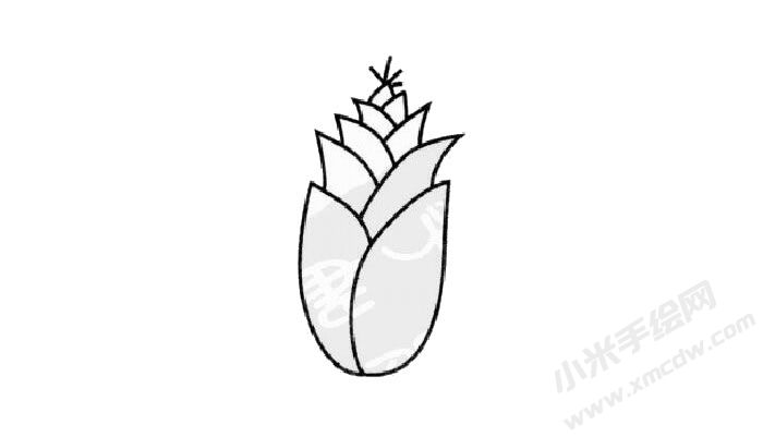 竹筍簡筆畫創(chuàng)作步驟03.jpg