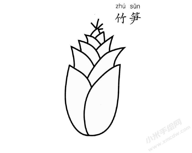 竹筍簡筆畫圖片