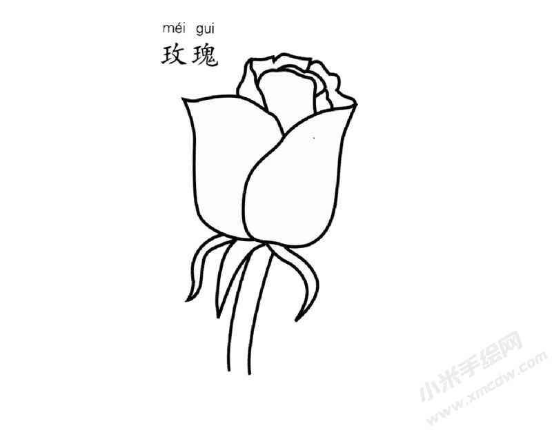 玫瑰花簡(jiǎn)筆畫(huà)圖片