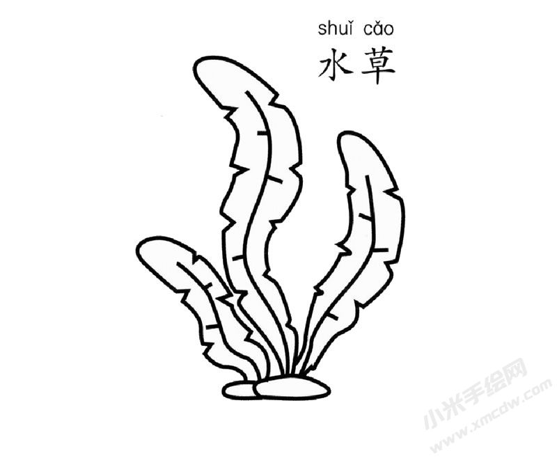 水草兒童簡筆畫圖片