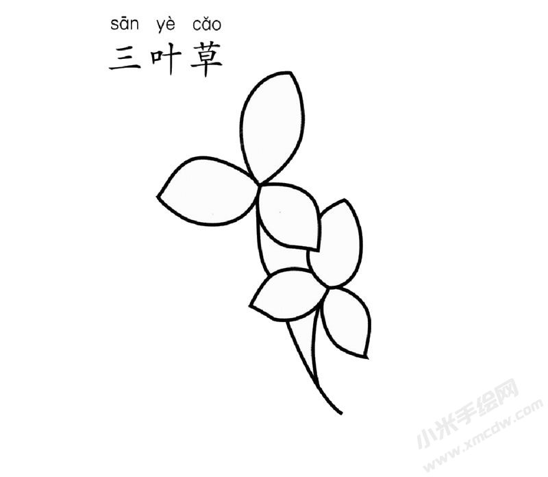 三葉草簡(jiǎn)筆畫(huà)圖片