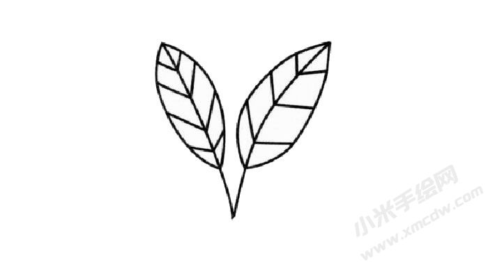冬青簡(jiǎn)筆畫創(chuàng)作步驟02.jpg