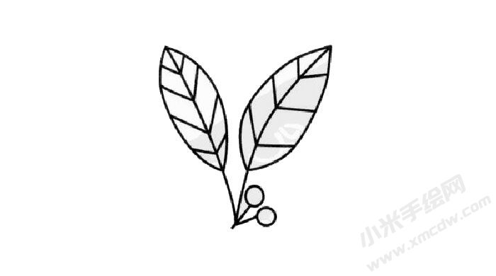 冬青簡(jiǎn)筆畫創(chuàng)作步驟03.jpg