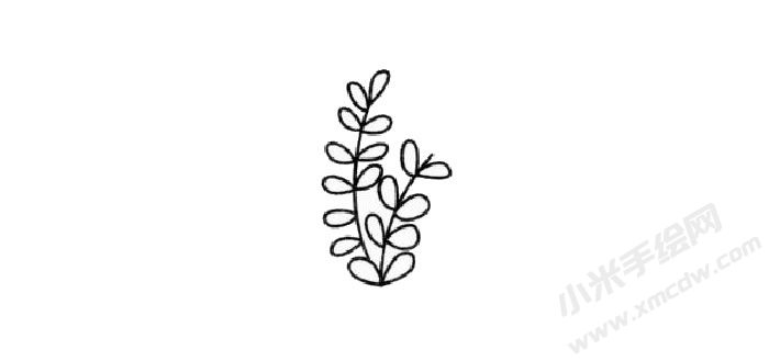 含羞草簡(jiǎn)筆畫創(chuàng)作步驟02.jpg