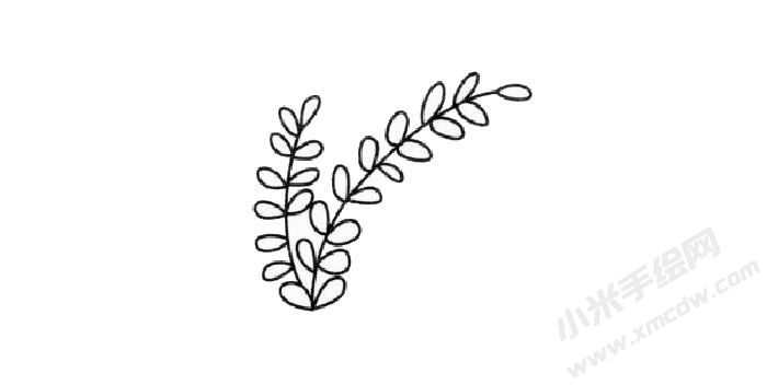 含羞草簡(jiǎn)筆畫創(chuàng)作步驟03.jpg