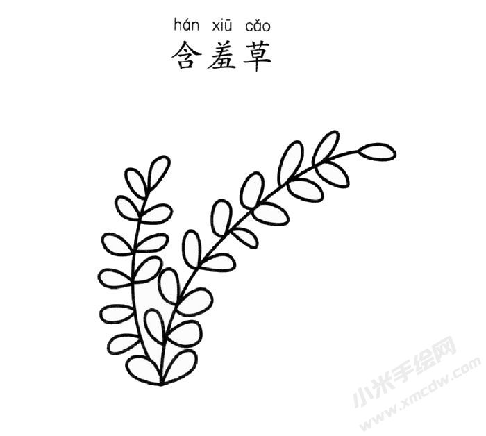 含羞草簡(jiǎn)筆畫圖片