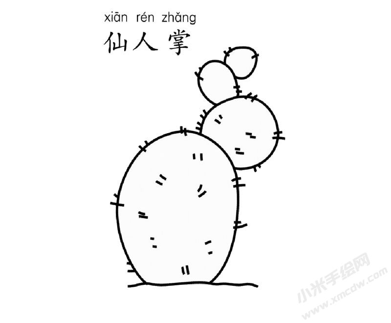仙人掌兒童簡筆畫圖片