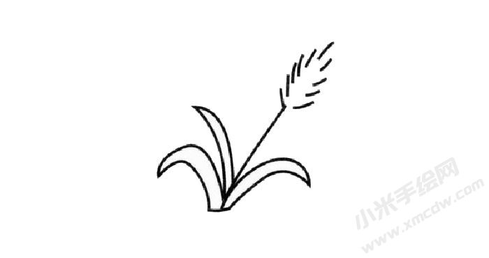蘆葦兒童簡(jiǎn)筆畫步驟03.jpg