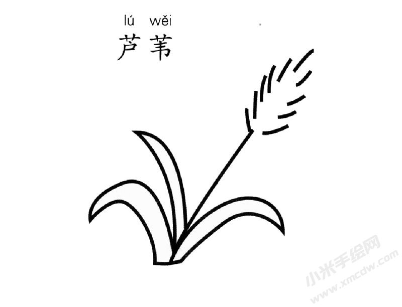 蘆葦兒童簡(jiǎn)筆畫圖片