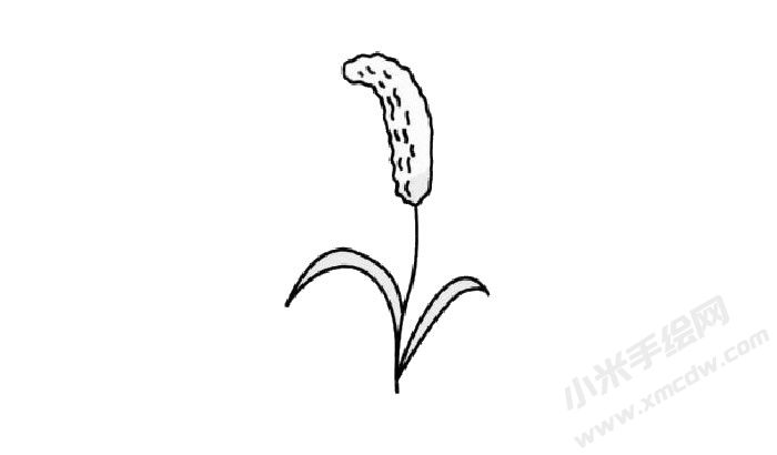 谷子簡筆畫創(chuàng)作步驟03.jpg