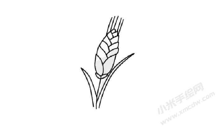 小麥簡(jiǎn)筆畫(huà)創(chuàng)作步驟03.jpg