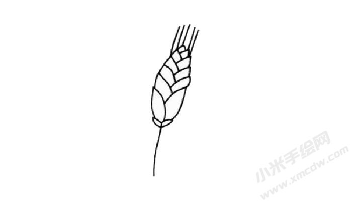 小麥簡(jiǎn)筆畫(huà)創(chuàng)作步驟02.jpg