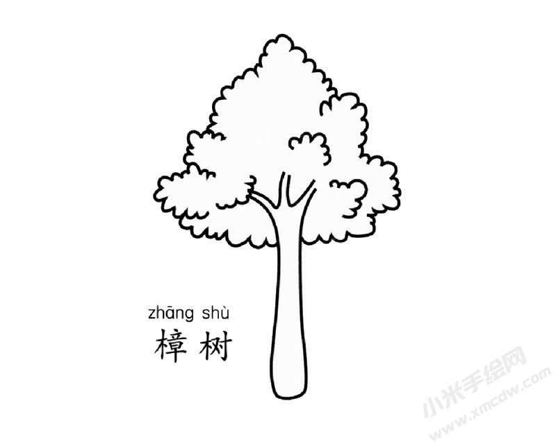 樟樹簡筆畫預(yù)判