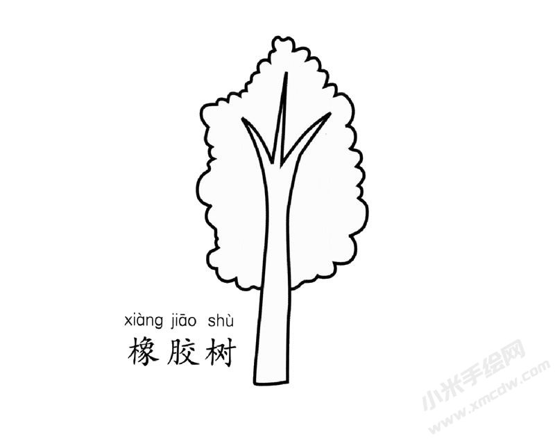 橡膠樹簡(jiǎn)筆畫圖片