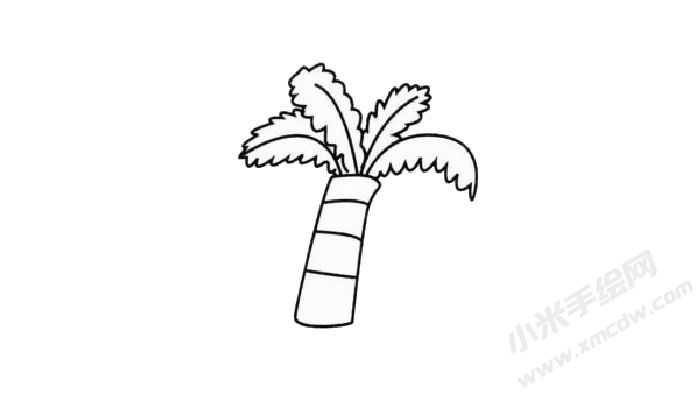 棕櫚樹簡筆畫創(chuàng)作步驟02.jpg