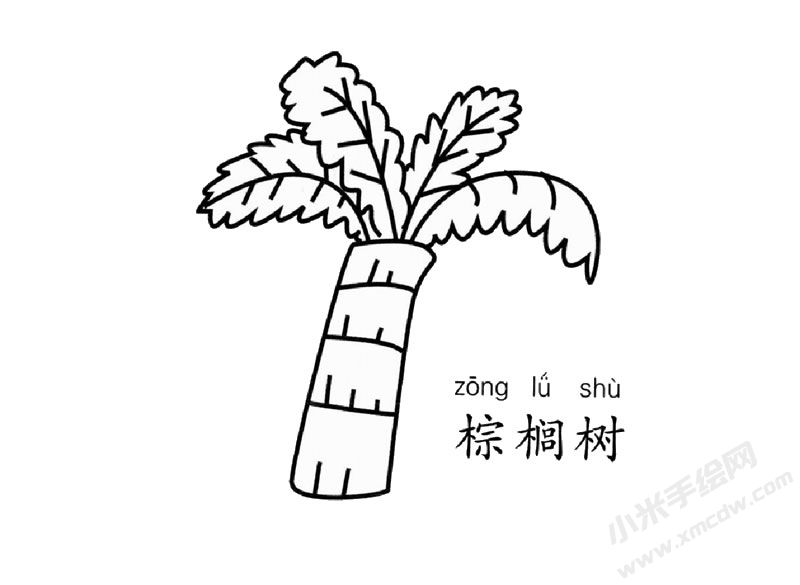 棕櫚樹簡筆畫圖片