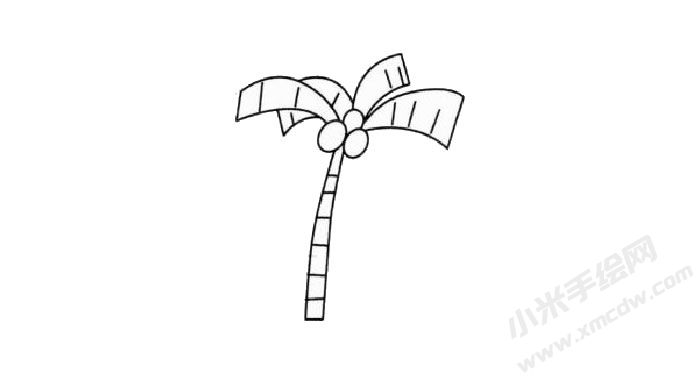 椰子樹(shù)兒童簡(jiǎn)筆畫(huà)步驟03.jpg