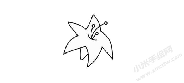 百合花簡(jiǎn)筆畫(huà)步驟02.jpg
