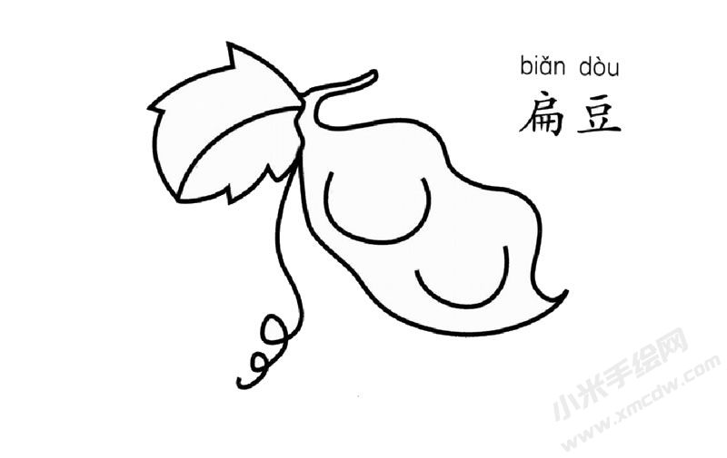 扁豆簡筆畫圖片
