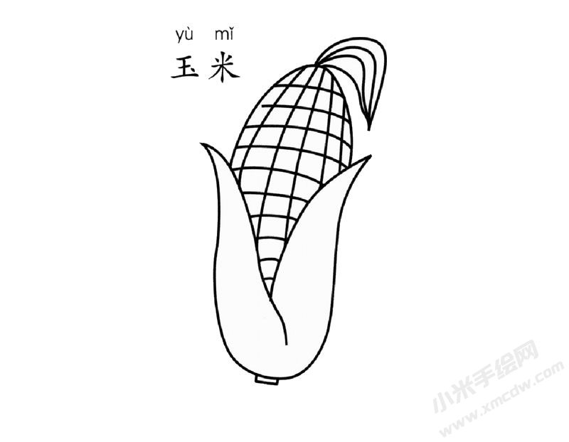 玉米兒童簡筆畫圖片
