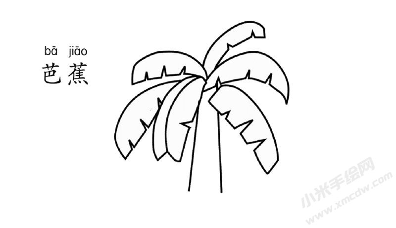 芭蕉樹兒童簡(jiǎn)筆畫圖片