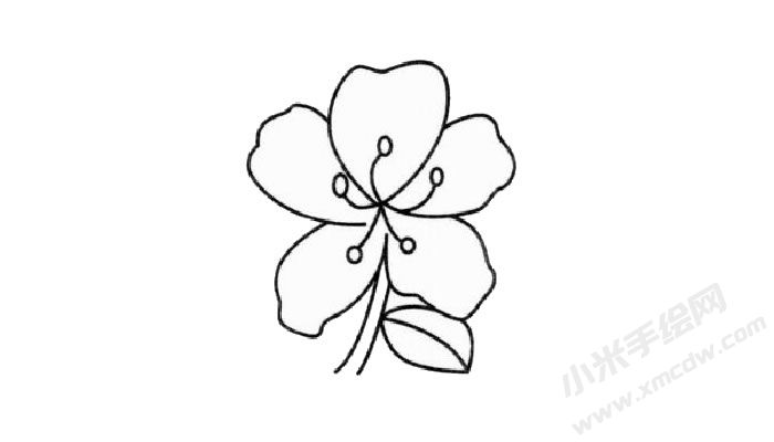 杜鵑花簡(jiǎn)筆畫創(chuàng)作步驟03.jpg